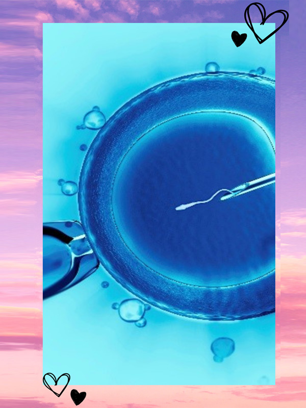 surrogacy-cost-for-heterosexual-couples surrogacy cost for heterosexual couples