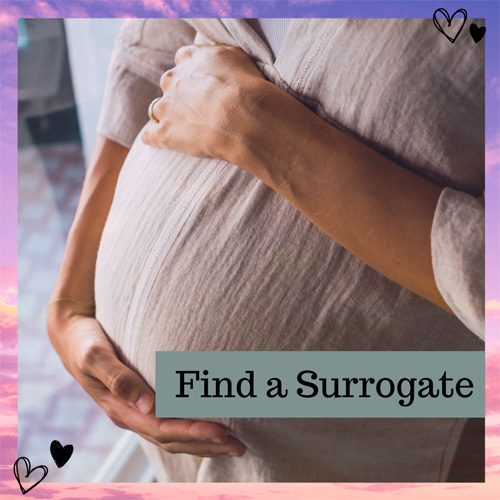 surrogate mother in israel