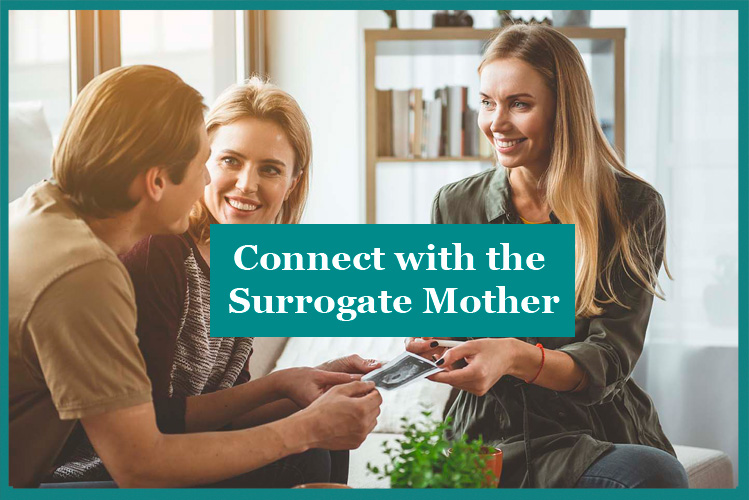 find a surrogate mother