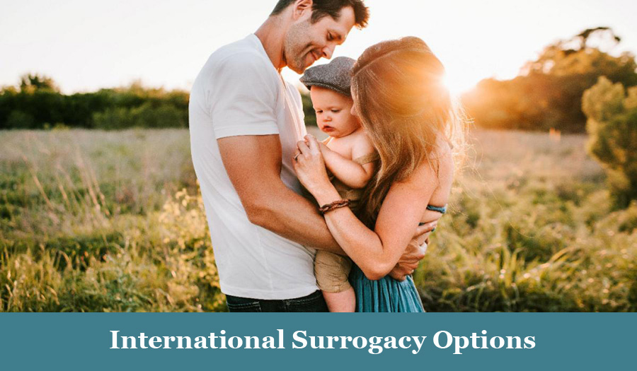 surrogacy treatment cost in canada