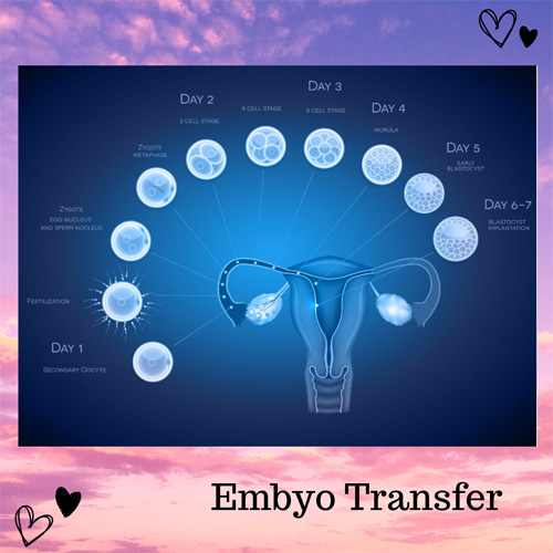 surrogacy consultancy in greece