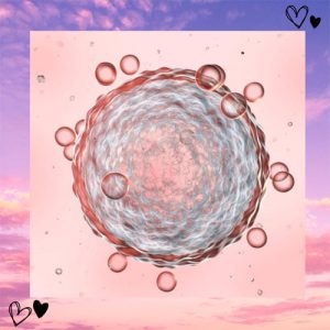 surrogacy agency for gay couples