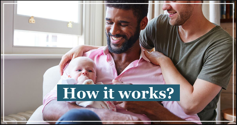 surrogacy agreement
