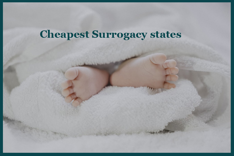 surrogacy cost for couples in usa