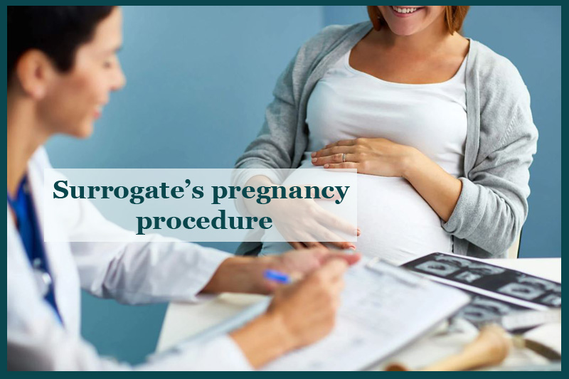 cost of surrogacy in usa