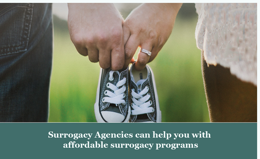 How Surrogacy Agencies can help you with affordable surrogacy programs?